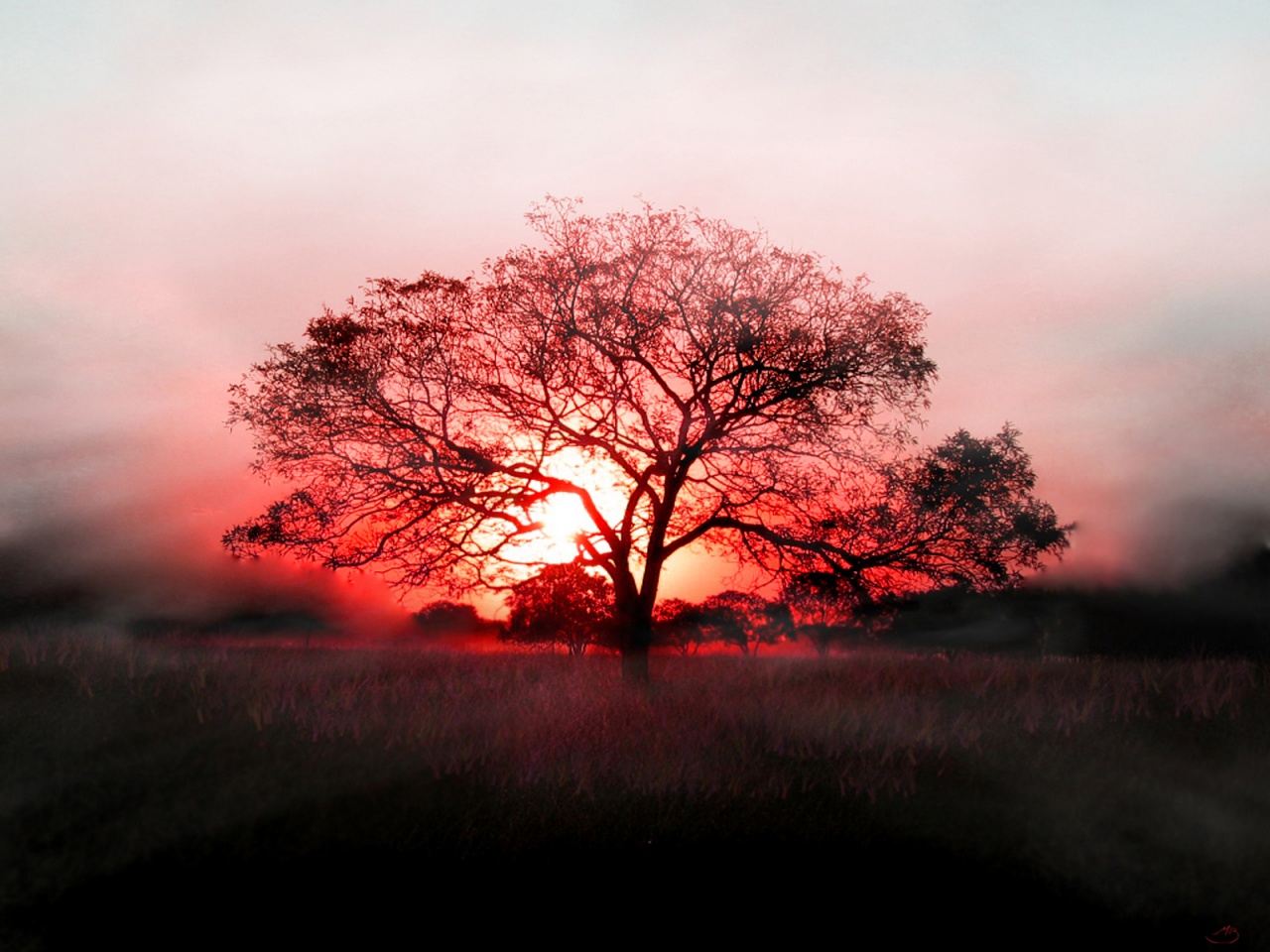 16_Sunset_tree_1280x1024